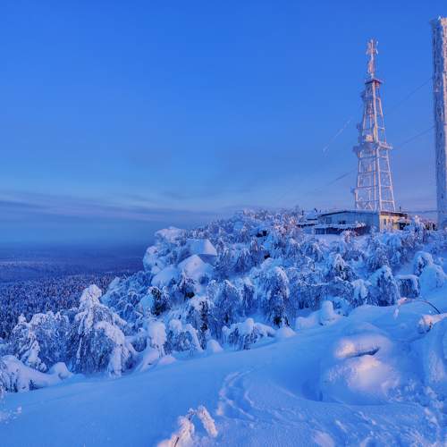 Photo #8947996
