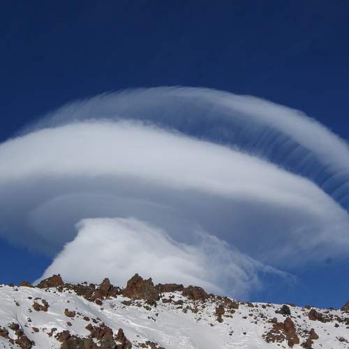 Photo #8948134