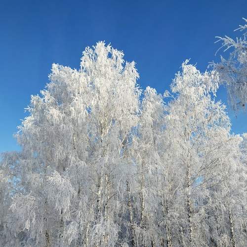 Photo #8948152