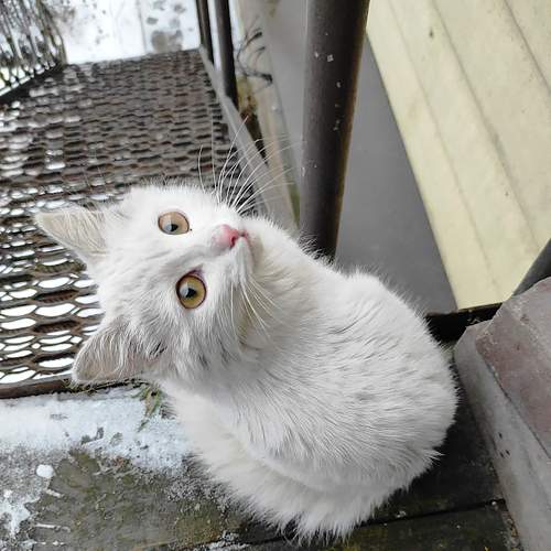 Photo #8948281