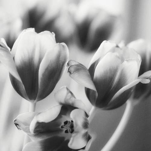 Photo #8948494