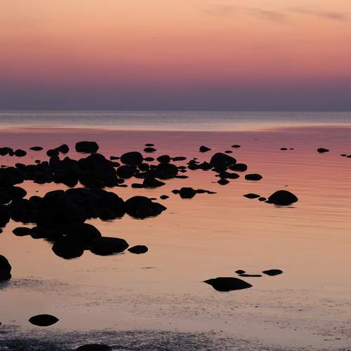 Photo #8948724