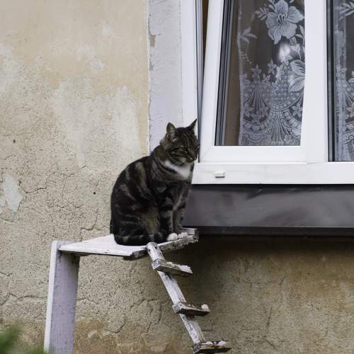 Photo #8949430