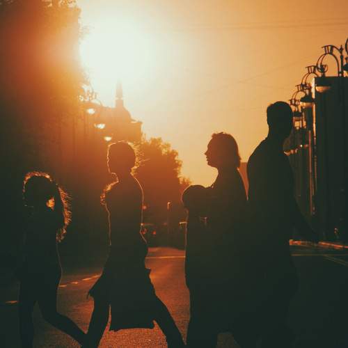 Photo #8949502