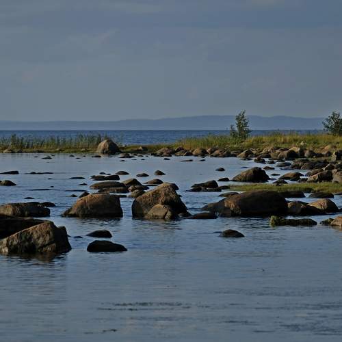 Photo #8949662
