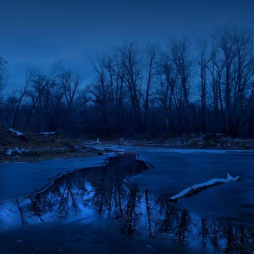 Photo #8949727