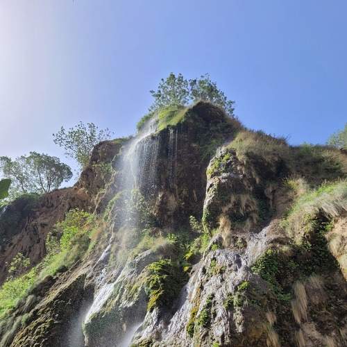 Photo #8949977
