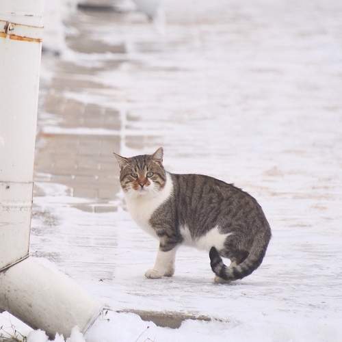 Photo #8950029