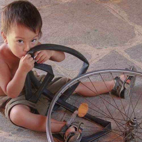 Photo #8950197