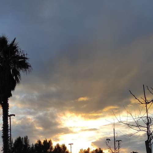 Photo #8950455