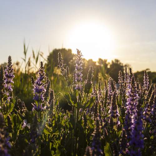 Photo #8950496