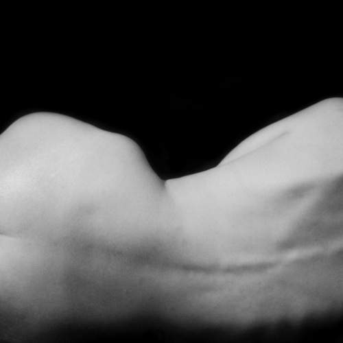 Photo #8950765