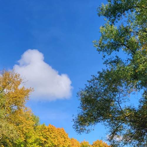 Photo #8950914