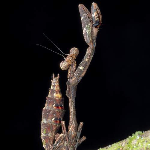 Фотография #8950928