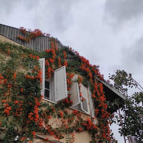 Photo #8950934