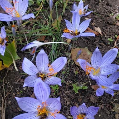 Photo #8950937