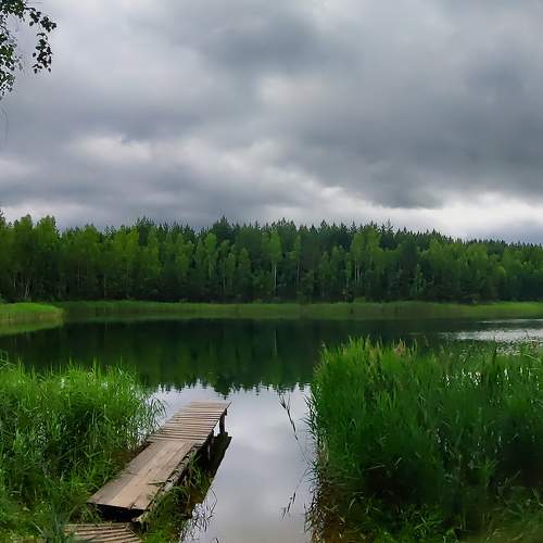 Photo #8951369