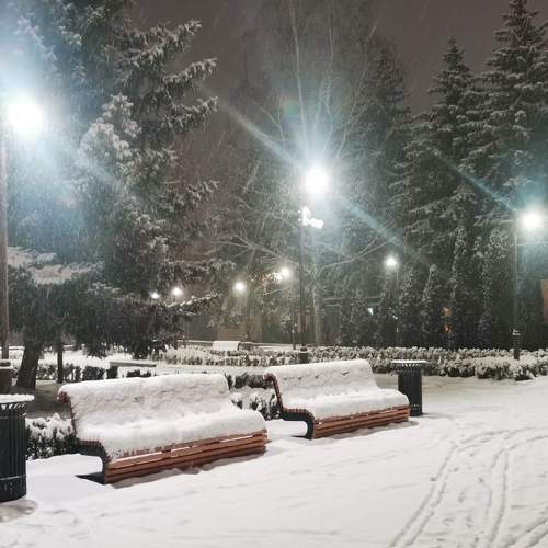 Photo #8951373
