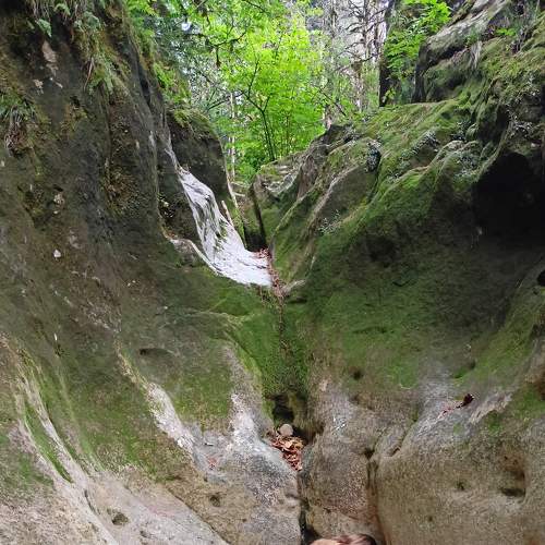 Photo #8951417