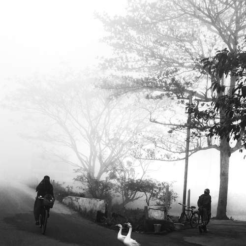 Photo #8951547