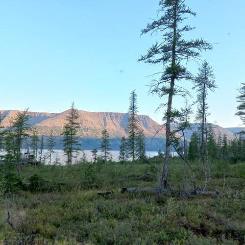 Photo #8951911