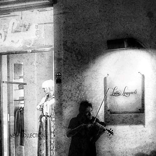 Photo #8951927