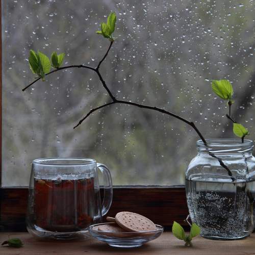 Photo #8951998