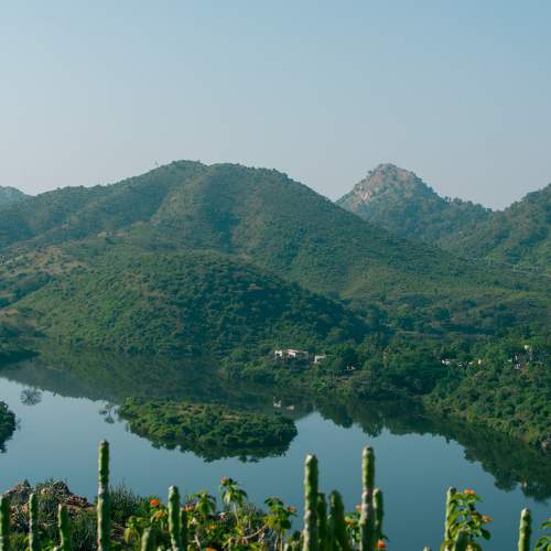Photo #8952078