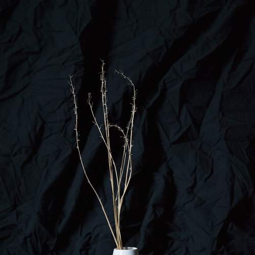 Photo #8952104