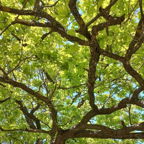 Photo #8952187
