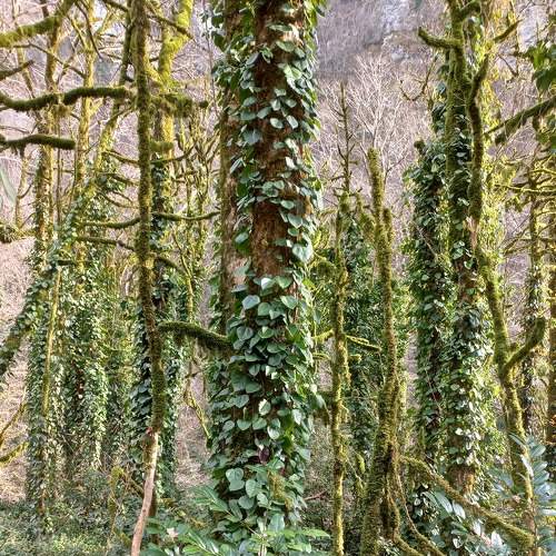 Photo #8952315