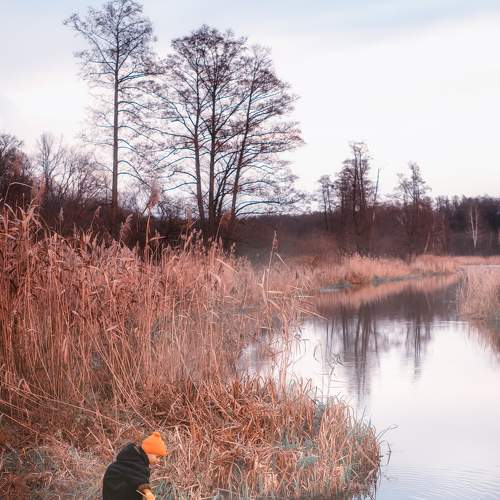 Photo #8952393