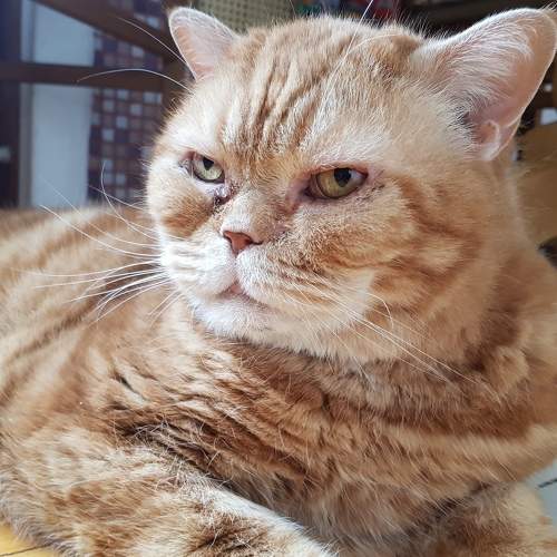 Photo #8952430