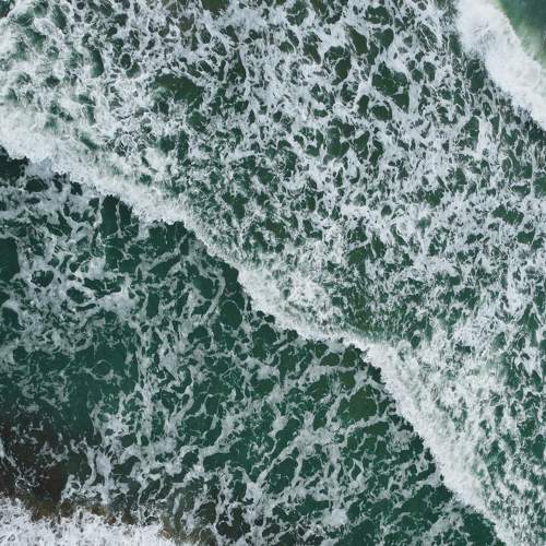 Photo #8952441