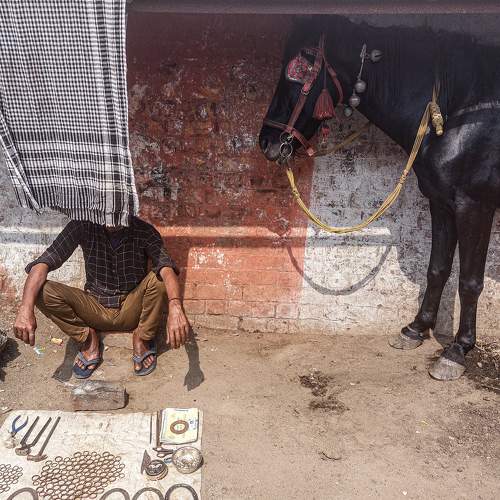 Photo #8952574