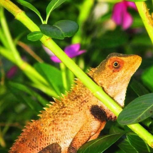 Photo #8952693