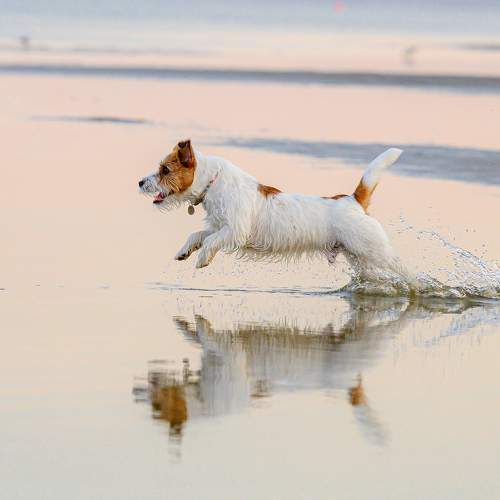 Photo #8953003