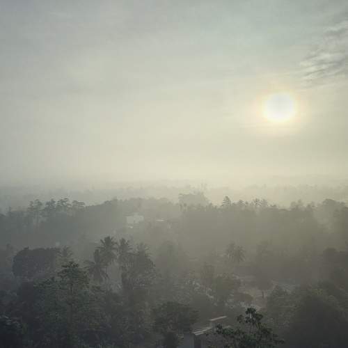 Photo #8953010