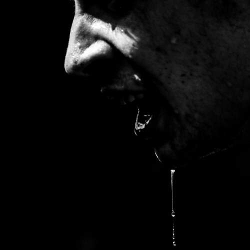Photo #8953171