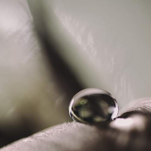 Photo #8953357