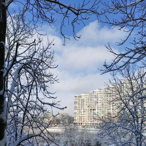 Photo #8953450