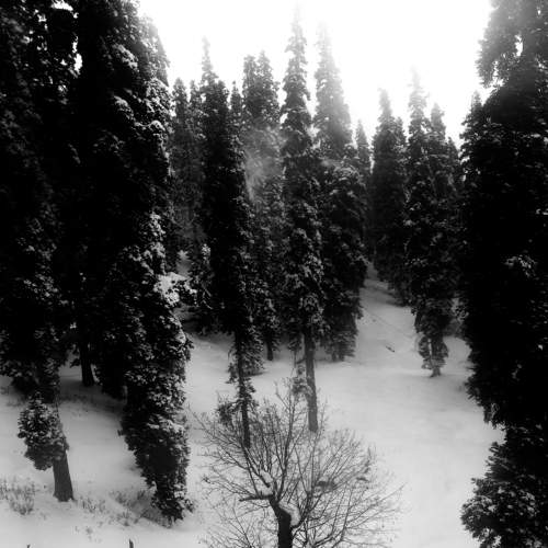 Stand alone