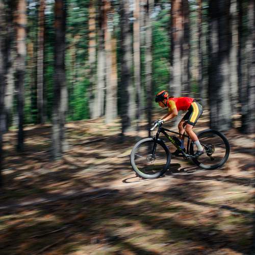 Photo #8954059