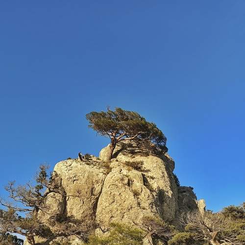 Photo #8954169