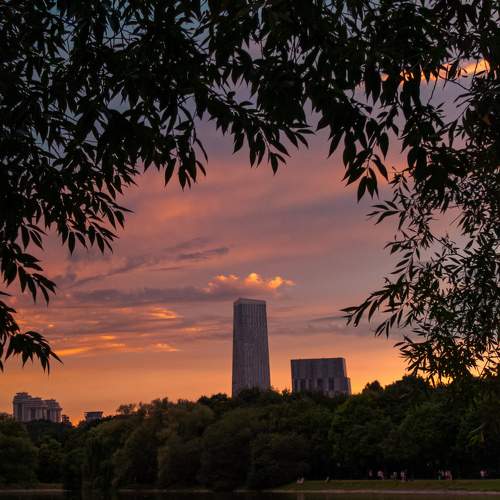 Photo #8954629