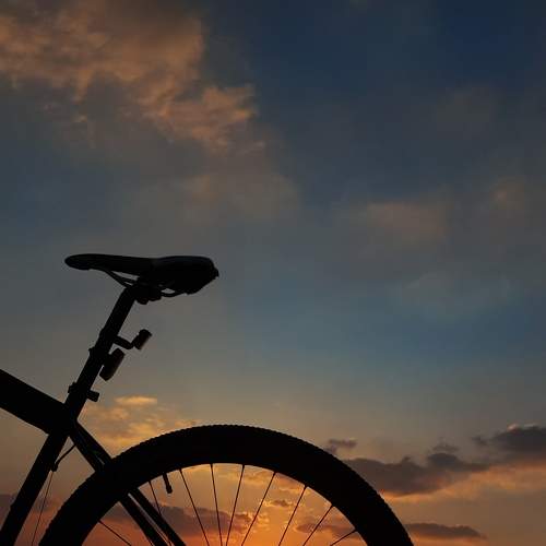 Photo #8954647