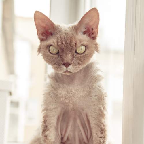 Photo #8954656