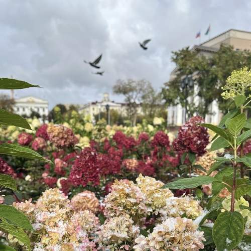 Photo #8954811