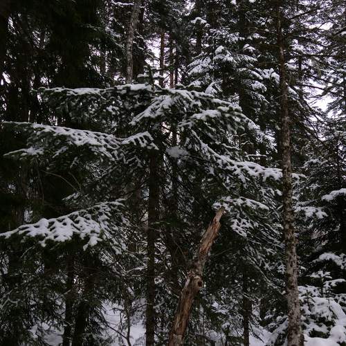 Photo #8954866