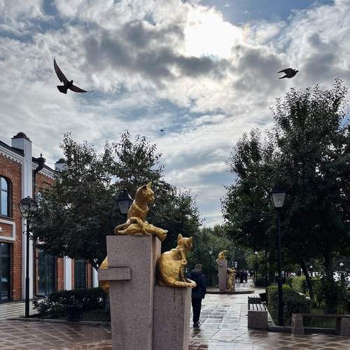 Photo #8955011